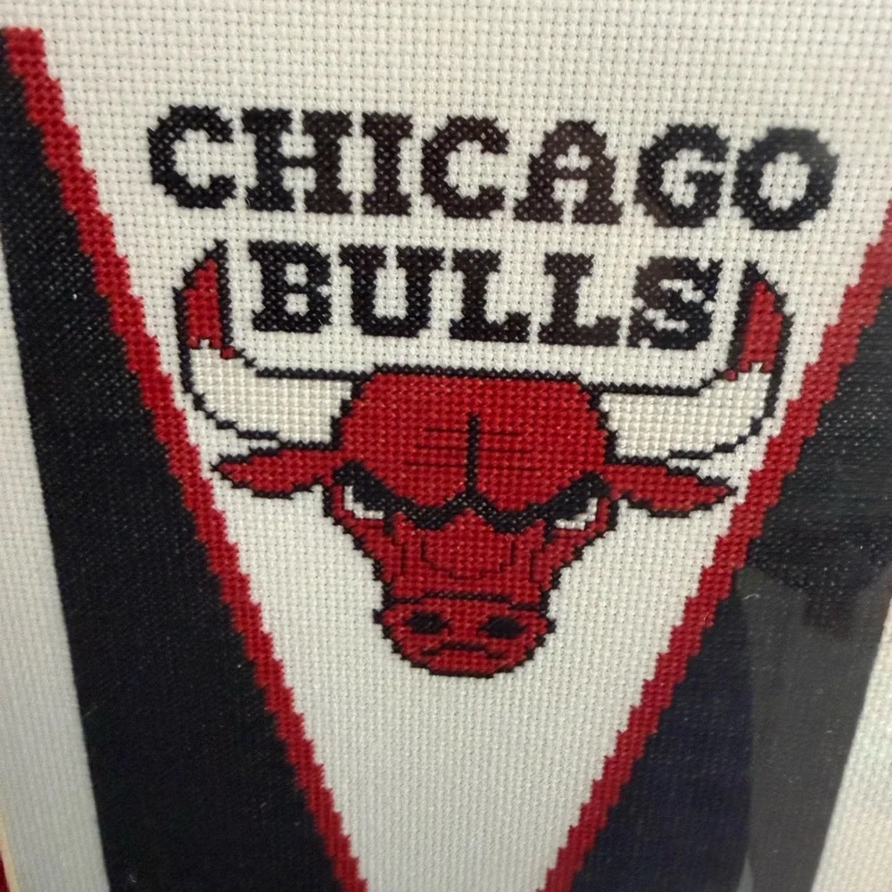 Chicago Bulls Custom Framed Cross Stitch Art